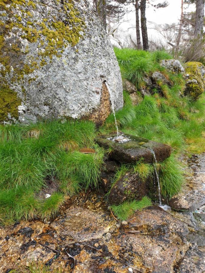 Casa Dos Cisnes - Serra Da Estrela - Sao Paio - Gouveia - Portugal Екстер'єр фото